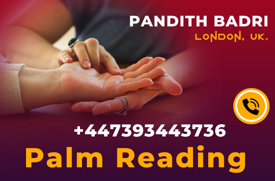Palm Reading